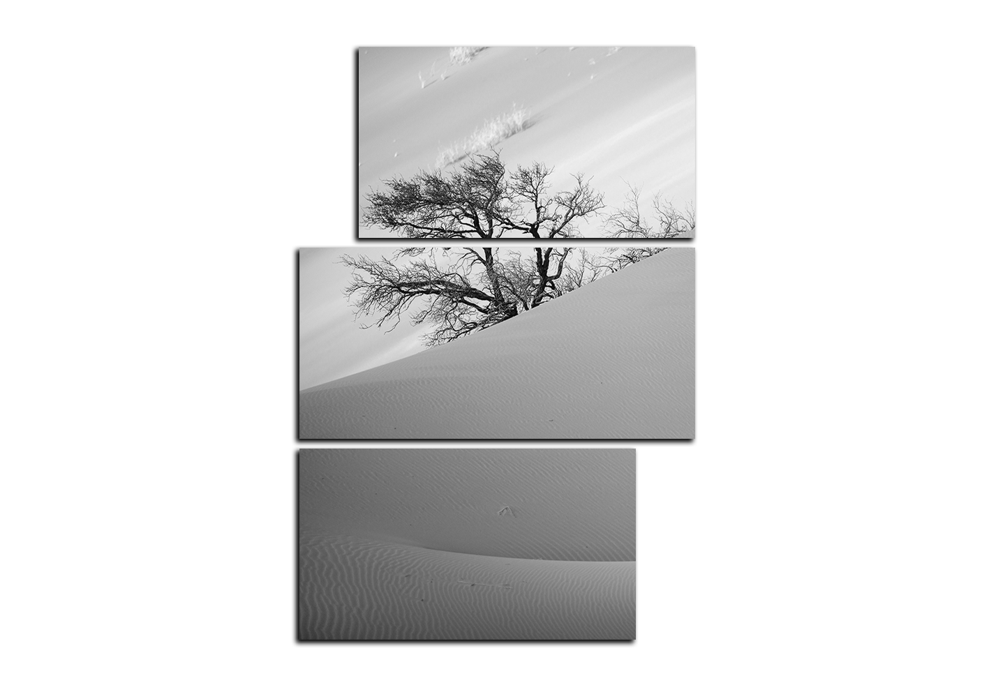 Obraz na plátně - Červené písečné duny - obdélník Obraz na plátně - Červené písečné duny - obdélník